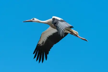 Over de Slowaakse snelwegen: reiservaringen en belangrijke informatie