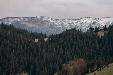 Rumunijos Vinječių Pirkimas ir Kelionės Patarimai Keliaujantiems Rumunijos Vinječių Pirkimas ir Kelionės Patarimai Keliaujantiems
