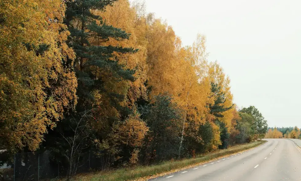 Die umfassende Renovierung der Autobahn D6 in der Umgebung von Kladno wurde mit Verzögerung abgeschlossen. Die umfassende Renovierung der Autobahn D6 in der Umgebung von Kladno wurde mit Verzögerung abgeschlossen.